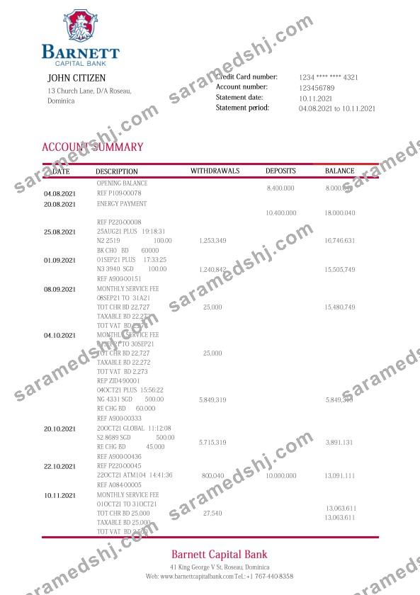 Dominica Barnett Capital bank statement template in Word and PDF format